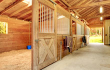 Steinis stable construction leads